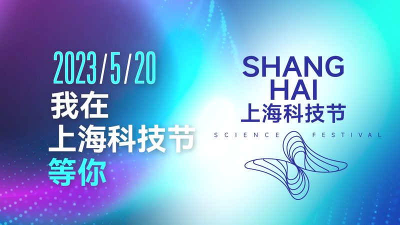 揭秘数据服务公司：十大品牌背后的实力与选择